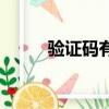 验证码有什么用（什么是验证码）