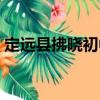 定远县拂晓初中（关于定远县拂晓初中介绍）