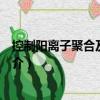 控制阳离子聚合及其应用（关于控制阳离子聚合及其应用简介）