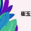 崔玉波（关于崔玉波简介）