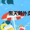 黑天鹅外卖是什么（黑天鹅外卖介绍）