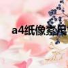 a4纸像素尺寸大小（a4纸像素尺寸介绍）