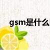 gsm是什么网络（gsm是什么网络类型）