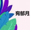 宛郁月旦（关于宛郁月旦介绍）