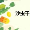 沙虫干的做法（沙虫干怎么做）