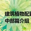 建筑植物配置：中部篇（关于建筑植物配置：中部篇介绍）