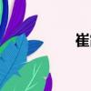 崔霞（关于崔霞简介）