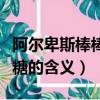 阿尔卑斯棒棒糖的含义是什么（阿尔卑斯棒棒糖的含义）