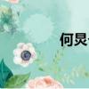 何炅个人资料（何炅介绍）