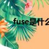 fuse是什么意思（fuse的意思是什么）