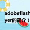 adobeflashplayer是什么（adobeflashplayer的简介）