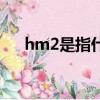 hm2是指什么面积单位（hm2是指啥）