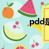 pdd是什么梗（pdd的意思）