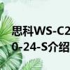 思科WS-C2960-24-S（关于思科WS-C2960-24-S介绍）