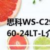 思科WS-C2960-24LT-L（关于思科WS-C2960-24LT-L介绍）