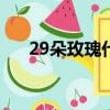 29朵玫瑰代表什么（适合什么场合送）