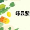 嵊县紫砂（关于嵊县紫砂简介）