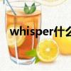 whisper什么意思（whisper怎么造句呢）