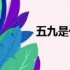 五九是什么日子（五九的简介）