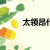 太领昂什么意思（ang什么意思）