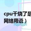 cpu干烧了是什么意思网络用语（cp什么意思网络用语）