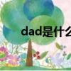 dad是什么意思啊（dad是什么意思）