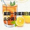 星期一到星期日的英语单词月份前用什么介词（月份前用什么介词）