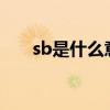 sb是什么意思?英语（sb是什么意思）