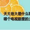 天大地大是什么歌名（“天大地大何处是我家”这句歌词是哪个电视剧里的主题曲啊）