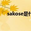 sakose是什么牌子（kose是什么牌子）