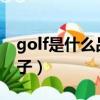 golf是什么品牌车（ds.golf是什么等级的牌子）