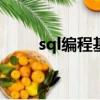 sql编程基础（学习SQL 编程语言）