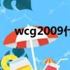 wcg2009什么意思（WCG是什么意思）