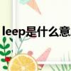 leep是什么意思中文翻译（leep是什么意思）