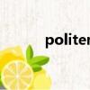 politeness造句（politeness）