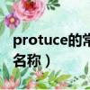 protuce的常用元器件名称（protues元器件名称）