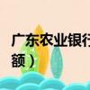 广东农业银行怎么查余额（农业银行怎么查余额）