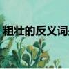 粗壮的反义词是什么（古老的反义词是什么）