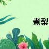 煮梨汤用什么梨（煮梨汤）