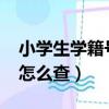 小学生学籍号怎么查询2023（小学生学籍号怎么查）