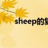 sheep的复数形式（fish的复数形式）