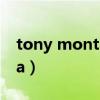 tony montana闵玧其歌词（tony montana）