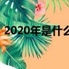 2020年是什么年闰年吗（2020年是什么年）