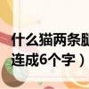 什么猫两条腿求六字答案谜语（什么猫两条腿连成6个字）