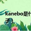 kanebo是什么牌子袜子（kanebo是什么牌子）