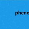 phenol是什么意思（phenol）