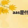 aas是什么意思（aa是什么意思）