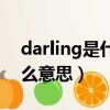 darling是什么意思英语翻译（darling是什么意思）