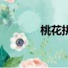 桃花拼音怎么写（桃花拼音）