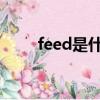 feed是什么意思（dig是什么意思）